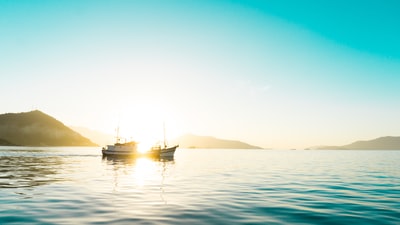 Two white boat on the water
